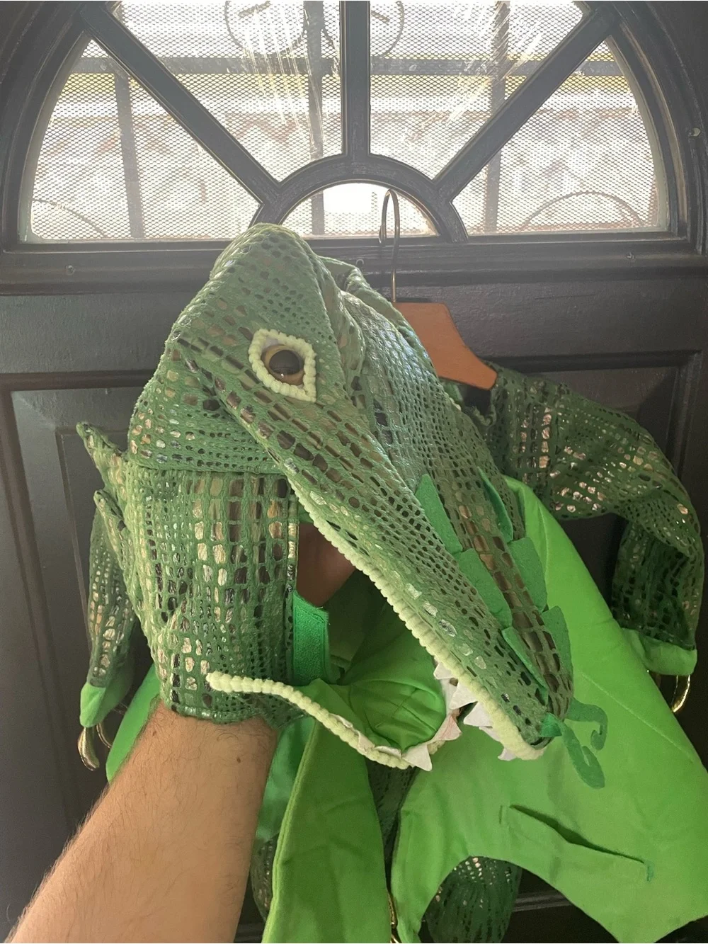 Kids Green Dragon Costume with Wings and Tail